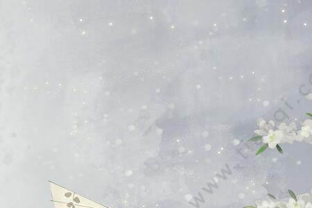 谢明远的踏莎行表达了什么情感