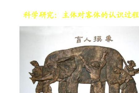 主体与客体的分化