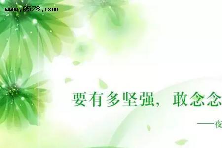 深表感谢的意思