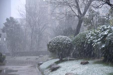 5月下雪是什么意思