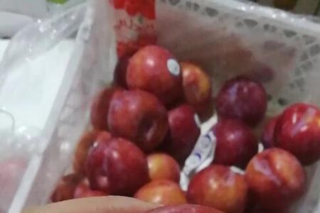 红布林能退货吗