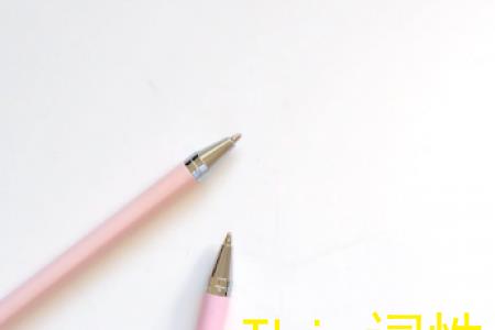 伴随着是什么词性