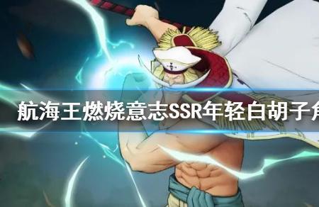 燃烧意志白胡子和小马哥先养谁