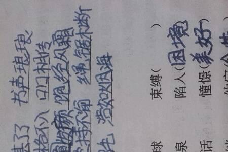 什么高峰填合适词语