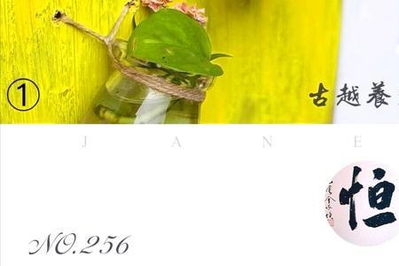 小孩三分寒七分饱什么意思
