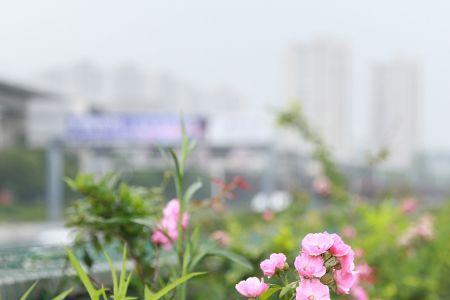 绚丽多姿这个词语突出了什么