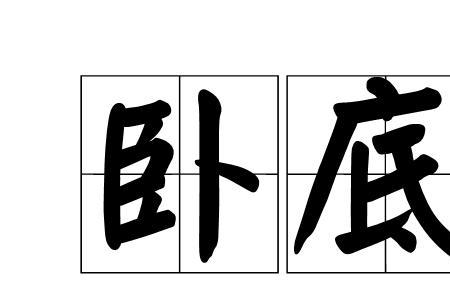卧底威龙里女杀手