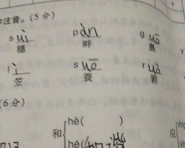 搜索兽还可以组什么词