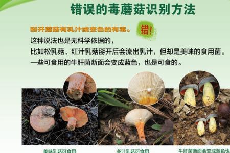 禁食野生菌宣传标语