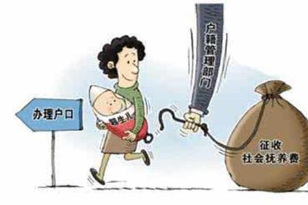 父母子女投靠是什么意思