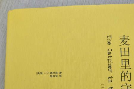 麦田里守望者深度解析