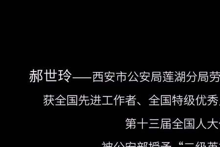 电影非凡守护郝警官谁演的