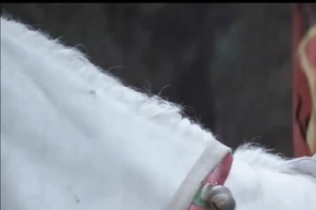 罗成秦琼相认是第几集