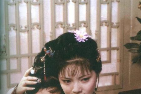 红楼梦入港是什么意思