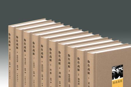 矛盾文学大师什么意思