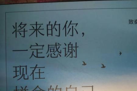 只有自己不可辜负是什么意思