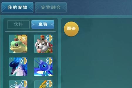 创造与魔法鎏金龙礼盒必中方法