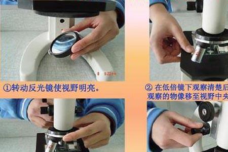 显微镜低倍镜和高倍镜的区别
