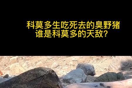 水银天敌是谁