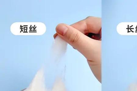 千丝和蚕丝有什么区别