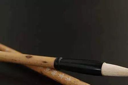 毛笔上面的亳是动物的哪些部位