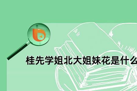 桂先学姐的课程怎么样