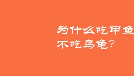 实在和结实的区别
