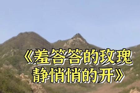 羞答答的玫瑰静悄悄地开原唱