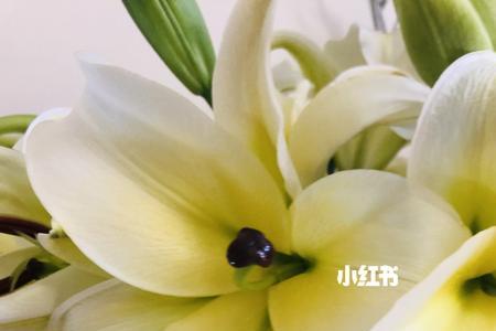 黄天霸为什么不受人喜欢