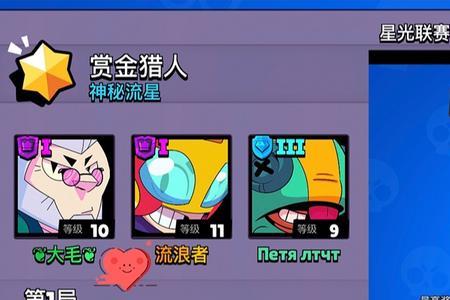 荒野乱斗大电影流浪者演什么