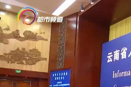 云南省加快发展现代产业的措施