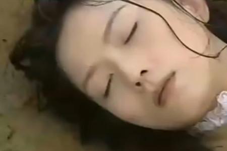 木棉花的春天原著结局