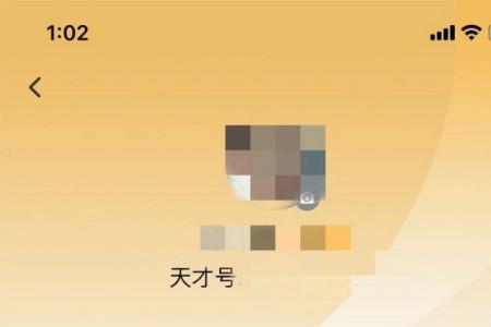 为什么小天才用不了网易云