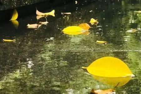 东莞多少月到秋天