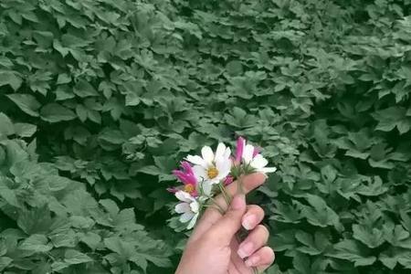 就算失守始终要守是什么意思