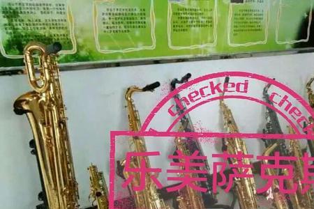 保尔喜欢什么乐器