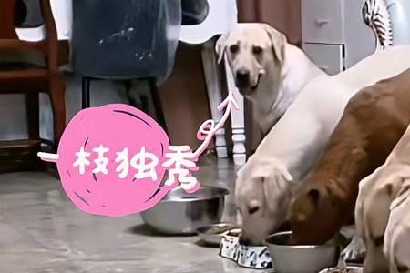 独享其身意思