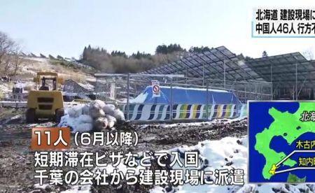 世界失踪人口国家排名
