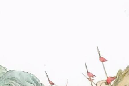 戚家军动漫为什么看不了