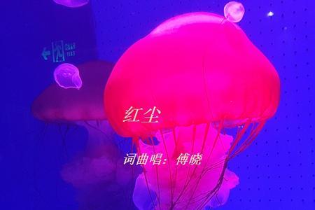 红尘的故事是什么意思