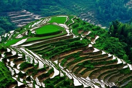 梯田面积比平地大吗
