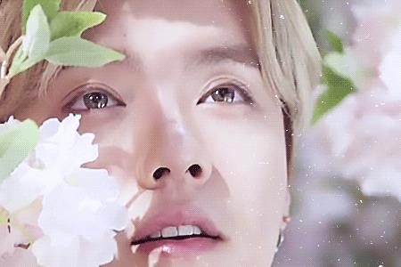 清澈的眼眸什么意思