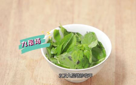 九层塔在河南叫什么