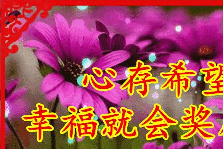 开心快乐每一天下一句