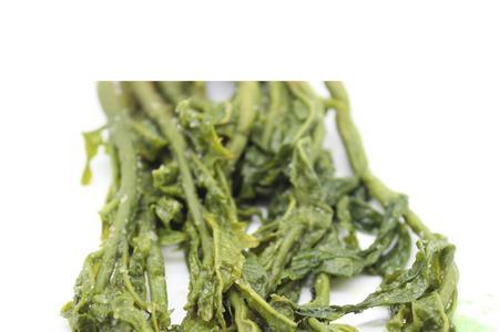 千秋芽是什么植物