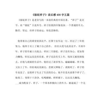 骆驼的品格读后感50字