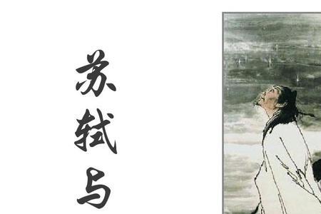 用两个词形容苏轼的一生