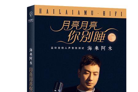 海南阿木经典歌曲10首
