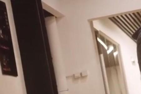 别惹白鸽结局