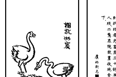 相继如宾的意思